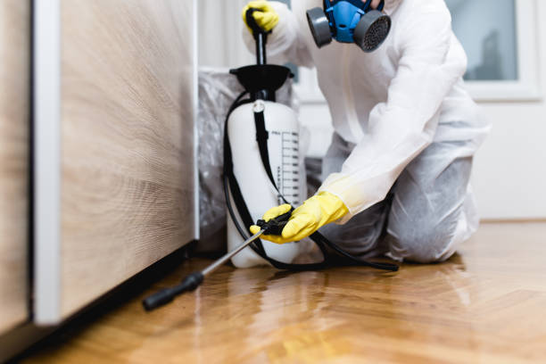 Best Emergency Pest Control  in South Haven, MI