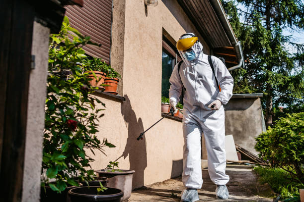 Best Mosquito Control Services  in South Haven, MI