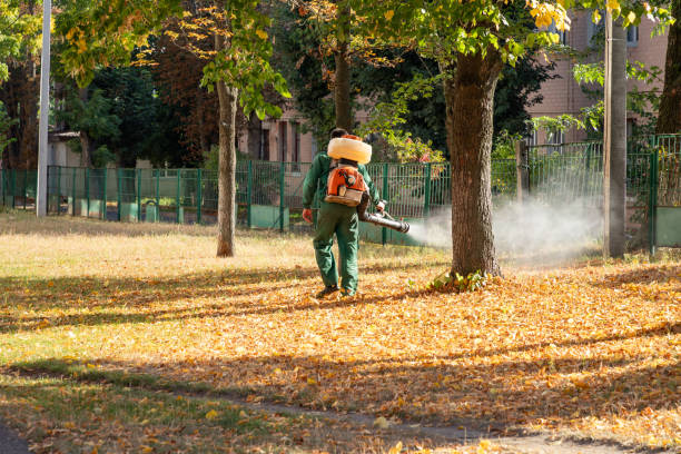 Best Commercial Pest Control Services  in South Haven, MI