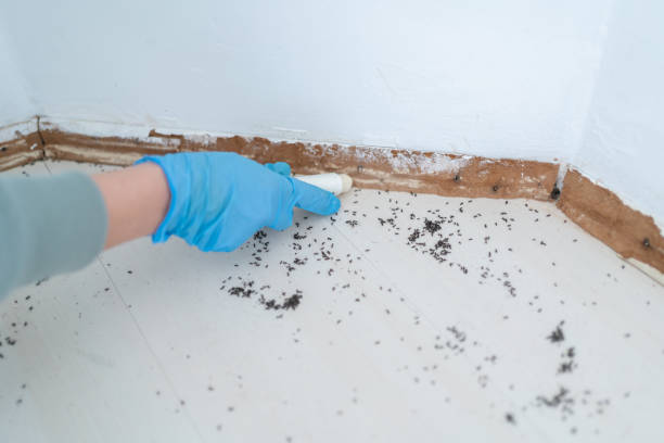 Best Pest Prevention Services  in South Haven, MI