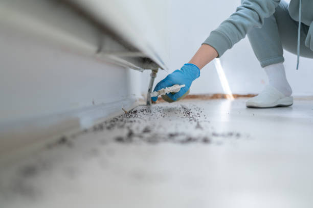 Best Residential Pest Control  in South Haven, MI